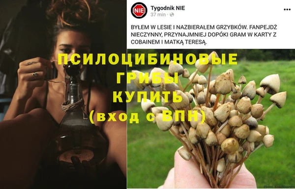 ешки Алексин