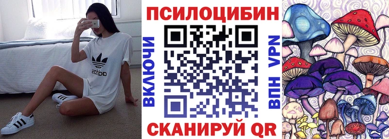 mega онион  Суджа  Псилоцибиновые грибы мухоморы 
